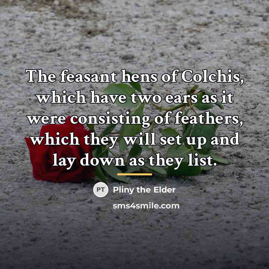 “The feasant hens of Colchis, which have two ears as…” quote by Pliny the Elder
