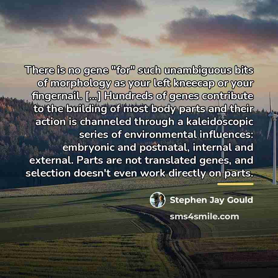 “There is no gene "for" such unambiguous bits of morphology…” quote by Stephen Jay Gould