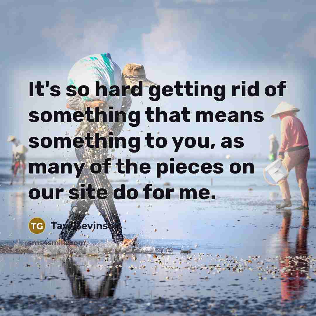 “It's so hard getting rid of something that means something…” quote by Tavi Gevinson