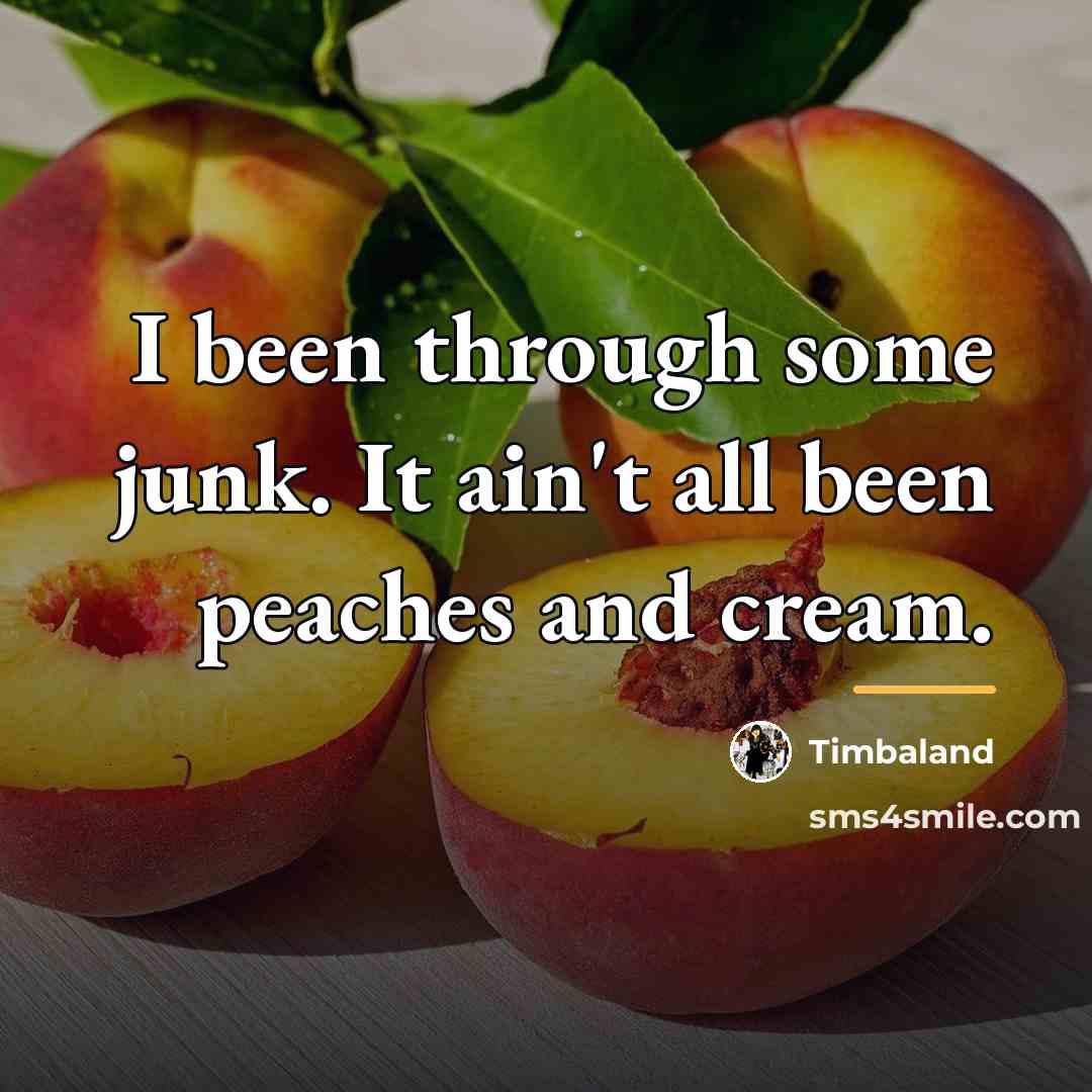 “I been through some junk. It ain't all been peaches…” quote by Timbaland