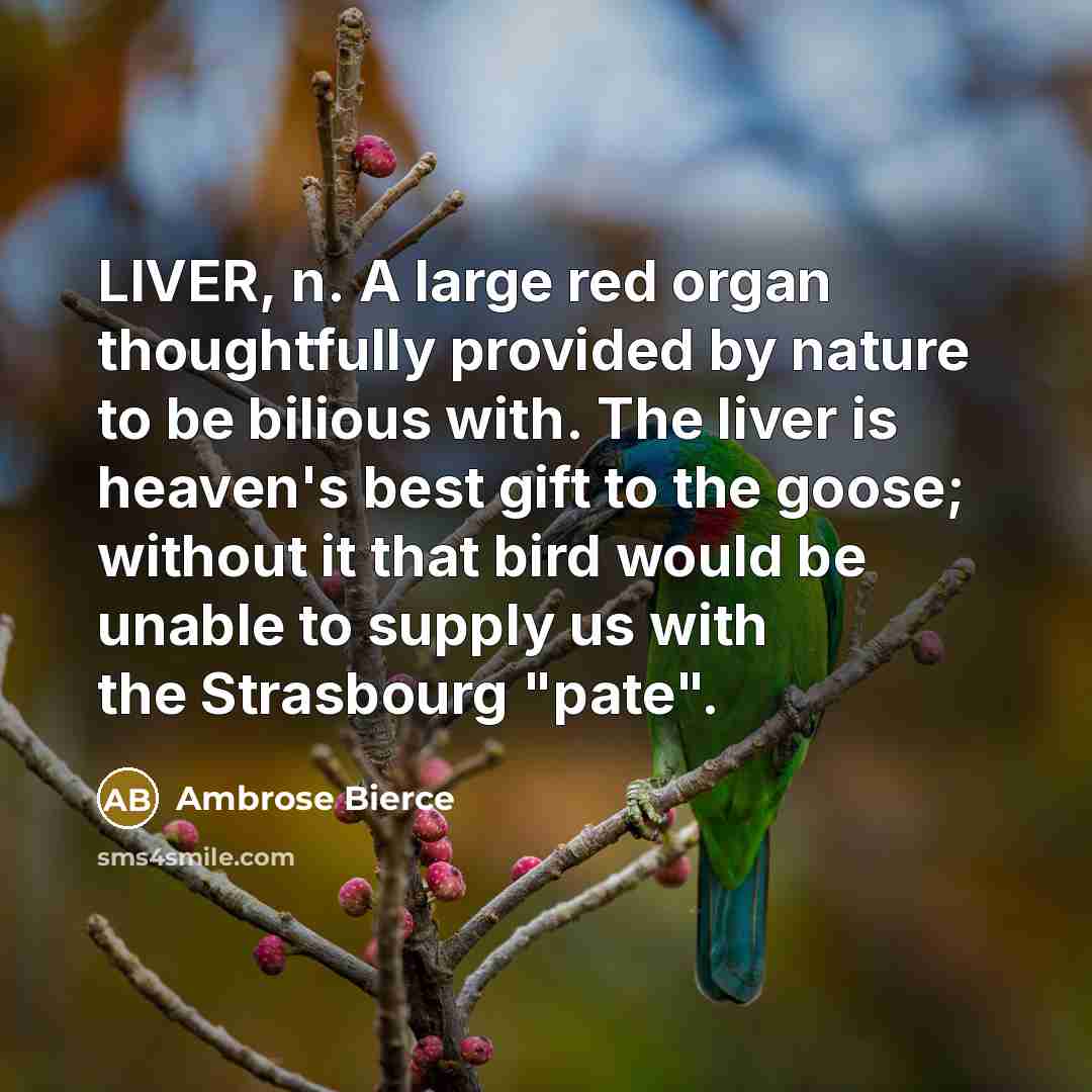 “LIVER, n. A large red organ thoughtfully provided by nature…” quote by Ambrose Bierce