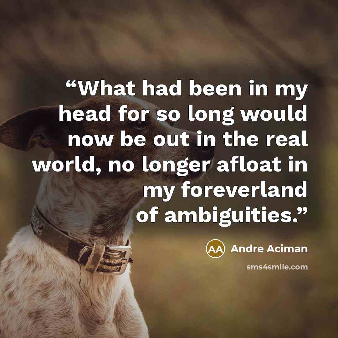 “What had been in my head for so long would now be out in the real world, no longer afloat in my foreverland of ambiguities.” quote by André Aciman