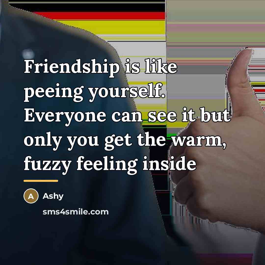“Friendship is like peeing yourself. Everyone can see it but…” quote by Ashy
