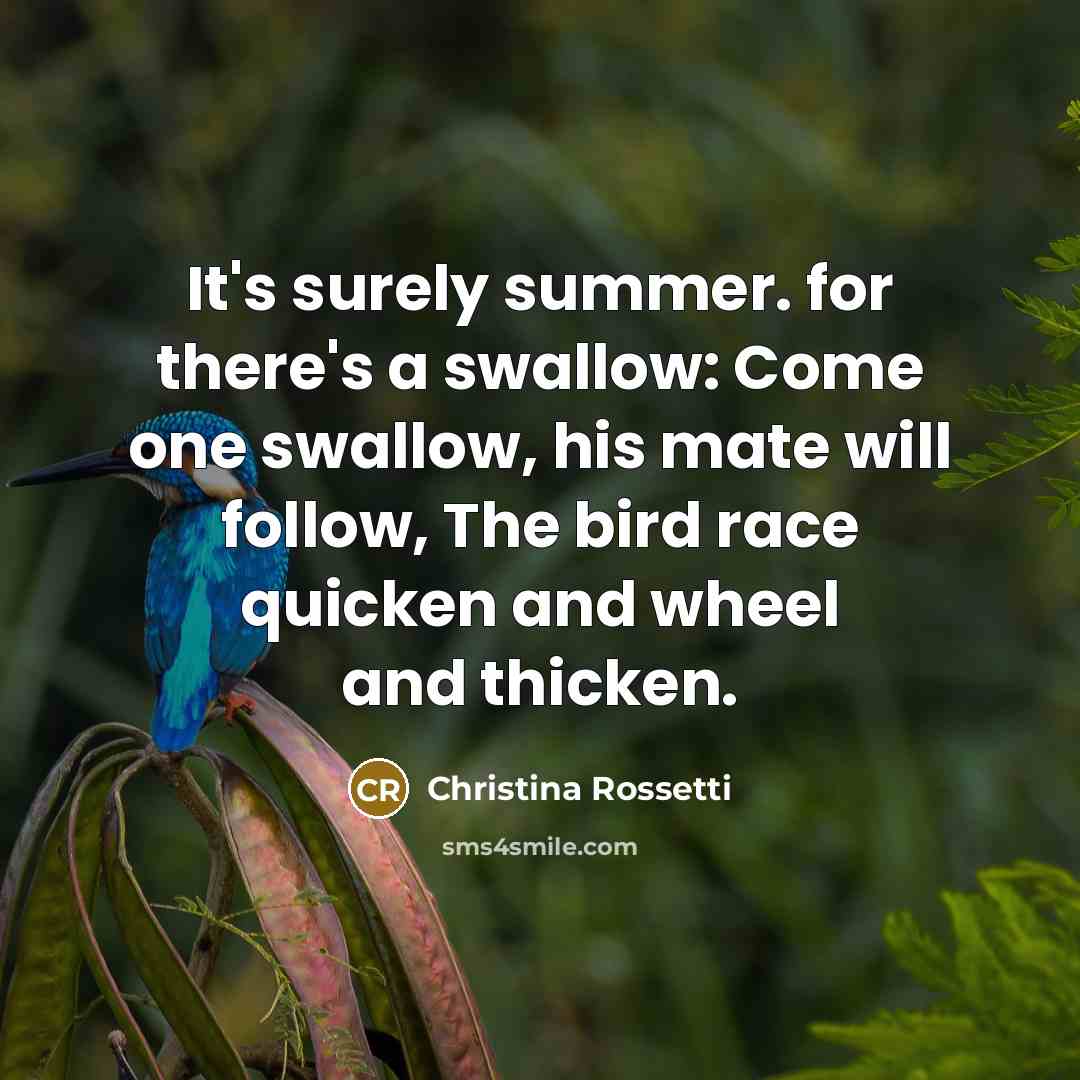 “It's surely summer. for there's a swallow: Come one swallow,…” quote by Christina Rossetti