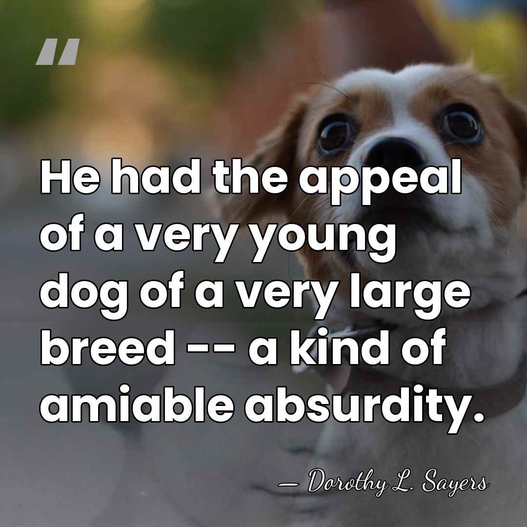 He had the appeal of a very young dog of a very&hellip; - Dorothy L. Sayers