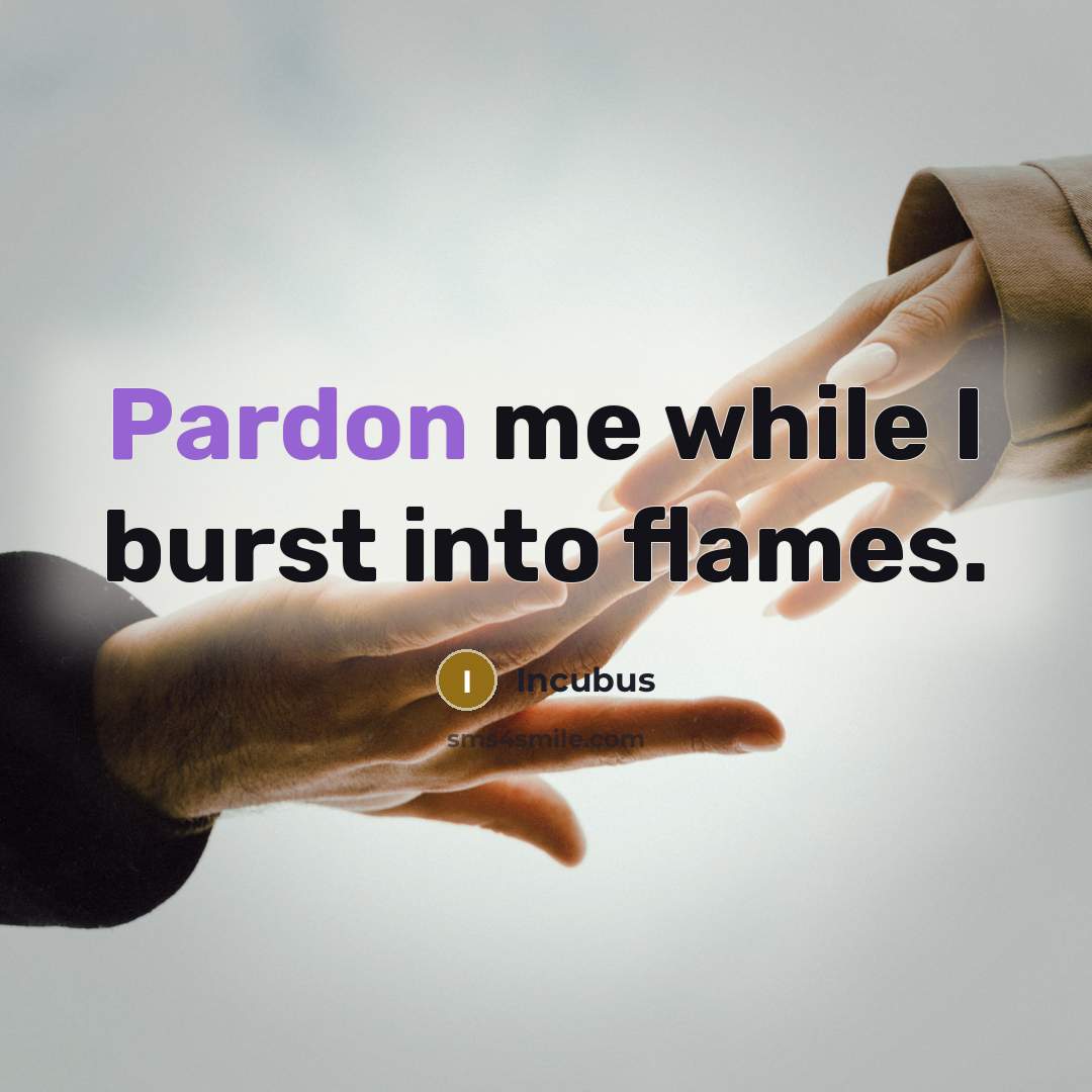 “Pardon me while I burst into flames.…” quote by Incubus