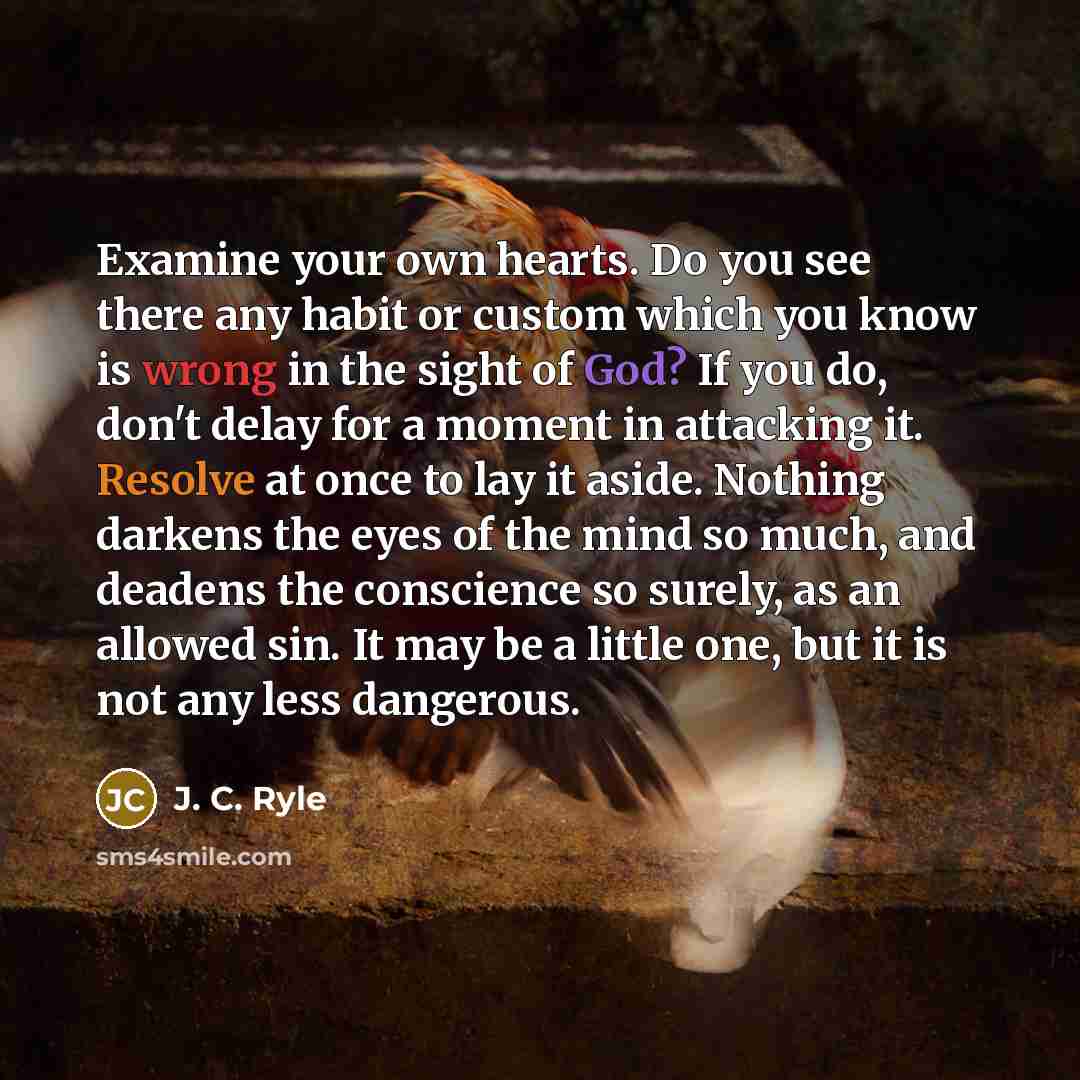 “Examine your own hearts. Do you see there any habit…” quote by J. C. Ryle