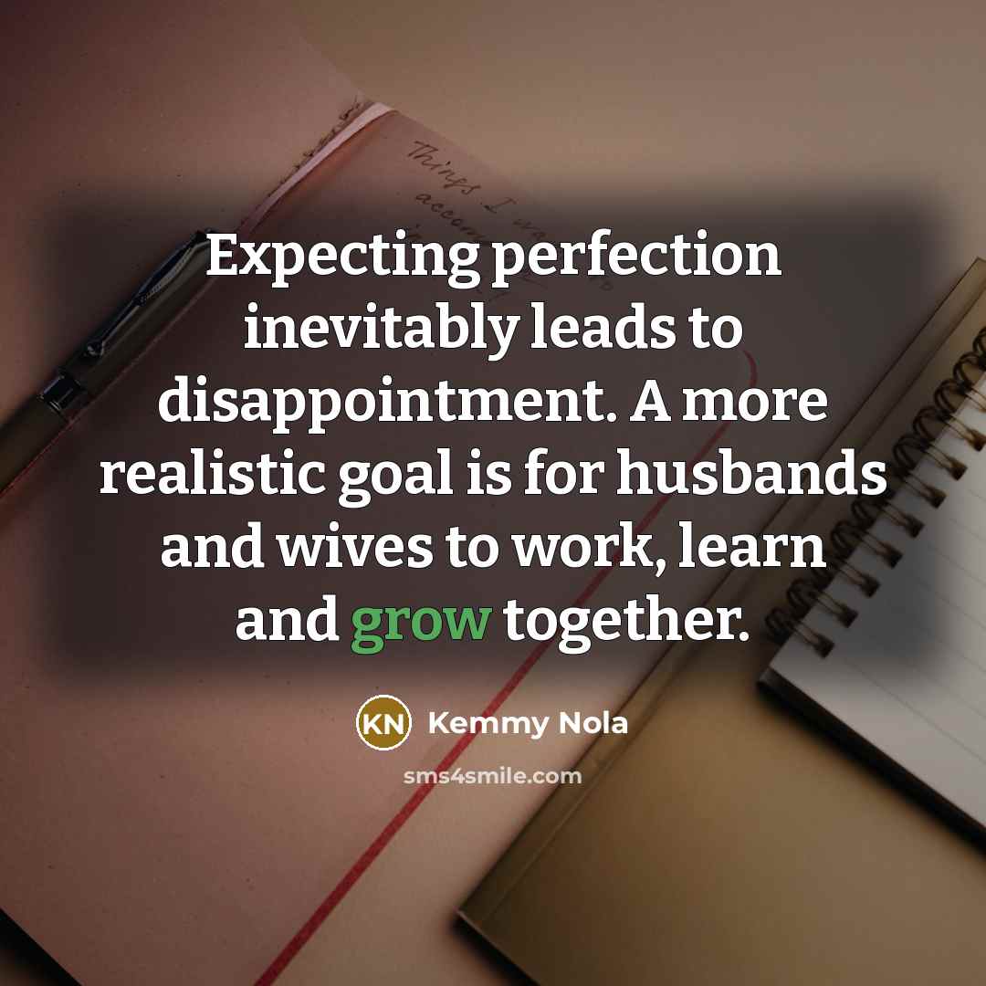 “Expecting perfection inevitably leads to disappointment. A more realistic goal…” quote by Kemmy Nola
