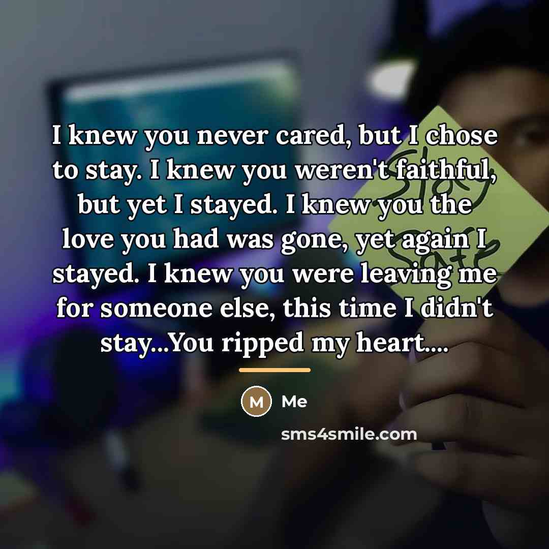 “I knew you never cared, but I chose to stay.…” quote by Me