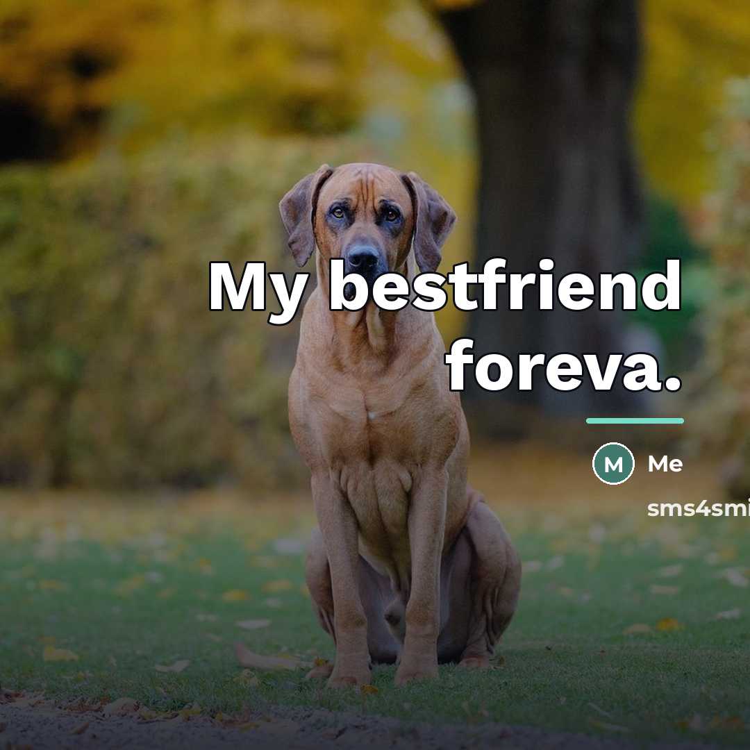 “My bestfriend foreva.…” quote by Me