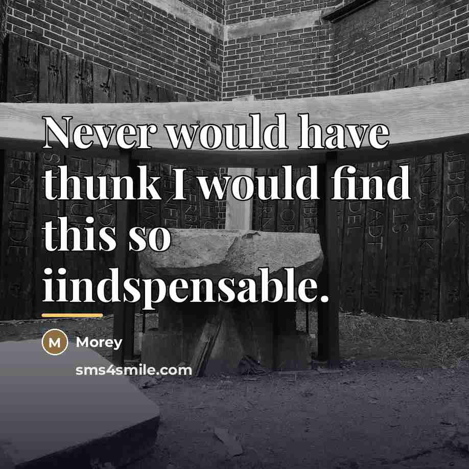 “Never would have thunk I would find this so iindspensable.…” quote by Morey