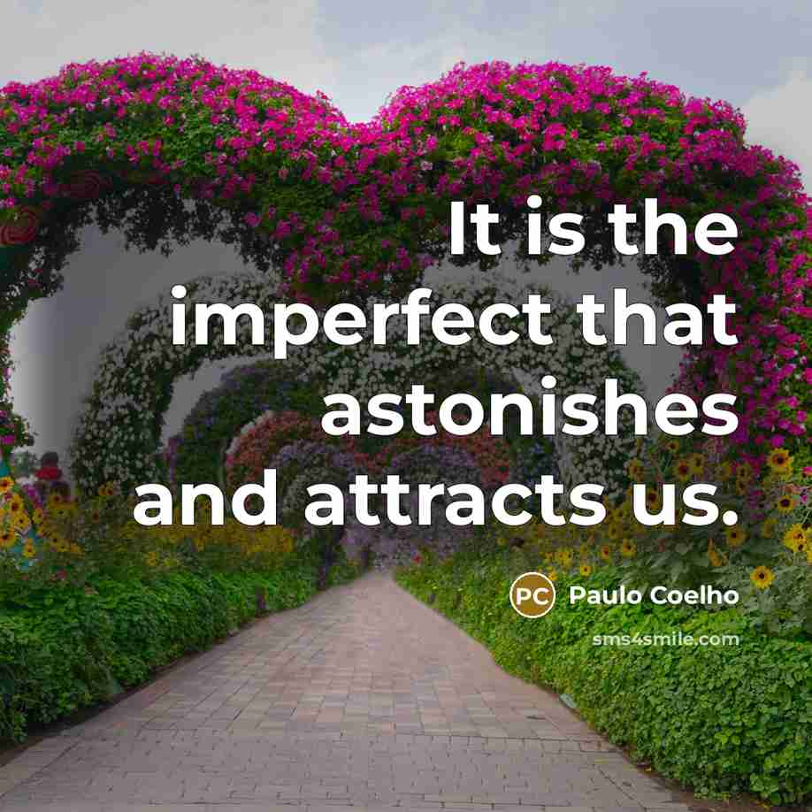 “It is the imperfect that astonishes and attracts us.…” quote by Paulo Coelho