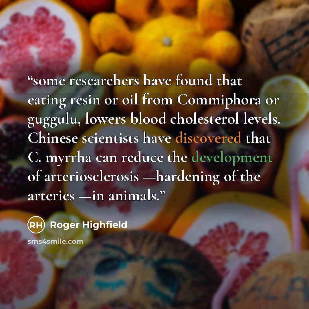 “some researchers have found that eating resin or oil from Commiphora or guggulu, lowers blood cholesterol levels. Chinese scientists have discovered that C. myrrha can reduce the development of arteriosclerosis —hardening of the arteries —in animals.” quote by Roger Highfield