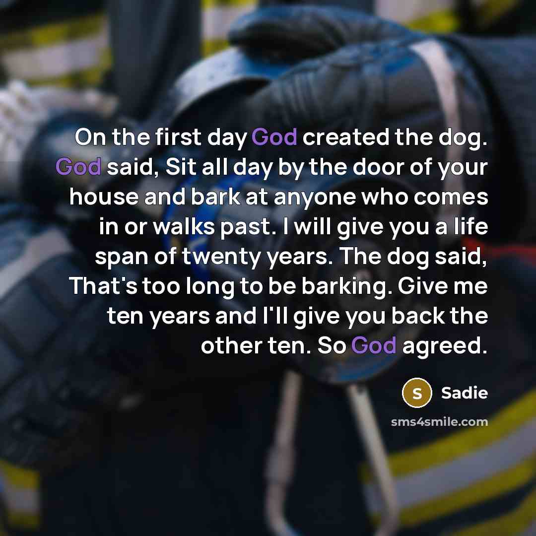 “On the first day God created the dog. God said,…” quote by Sadie
