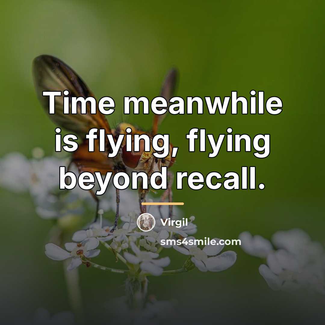 “Time meanwhile is flying, flying beyond recall.…” quote by Virgil