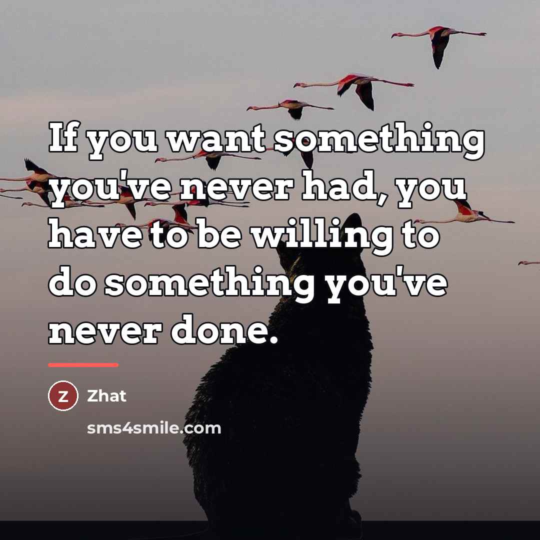 “If you want something you've never had, you have to…” quote by Zhat