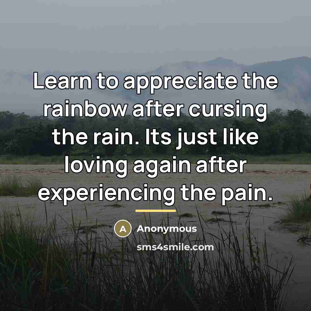 “Learn to appreciate the rainbow after cursing the rain. Its…” quote by Anonymous