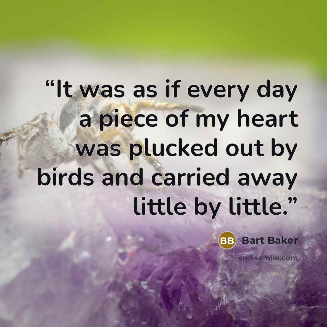 “It was as if every day a piece of my heart was plucked out by birds and carried away little by little.” quote by Bart Baker
