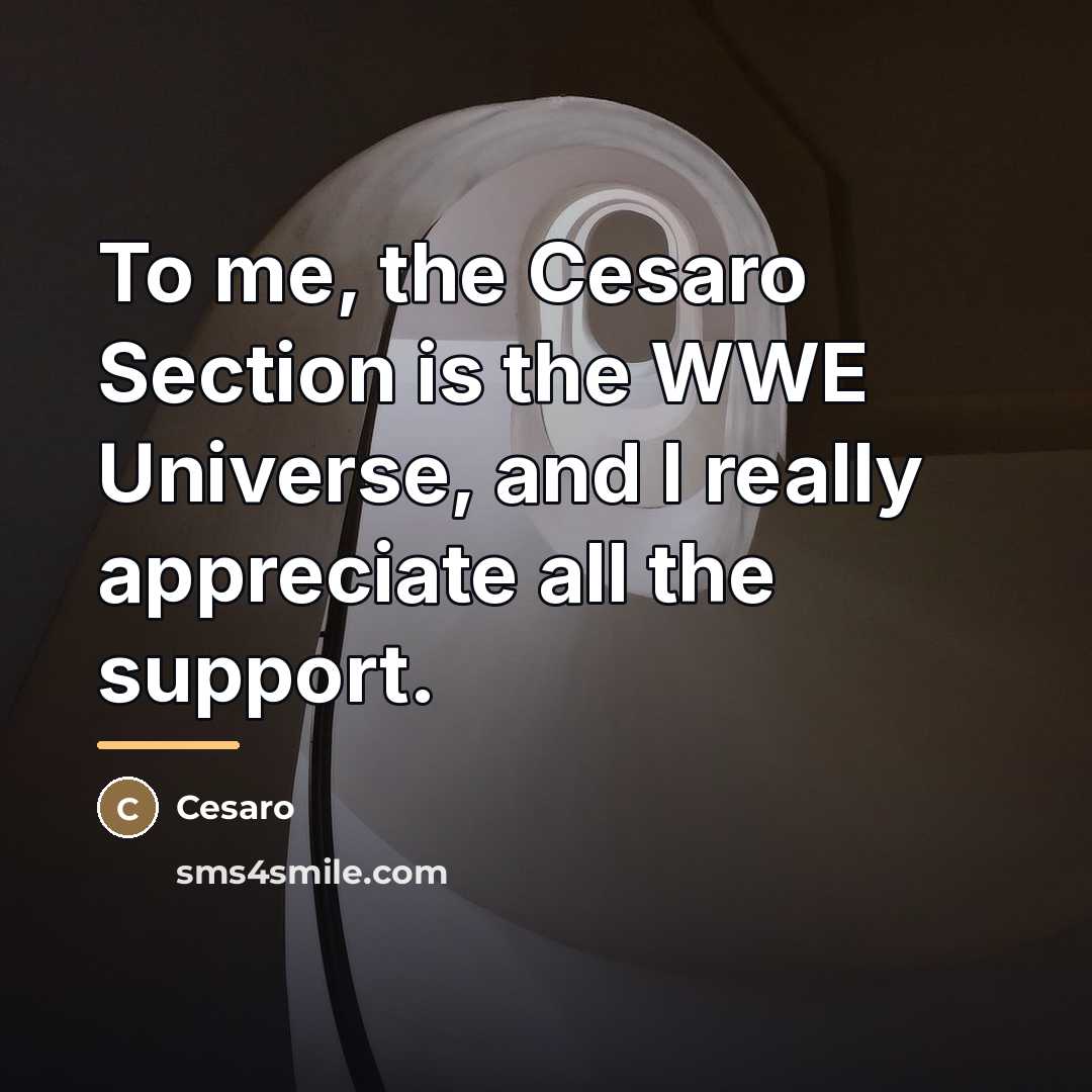 “To me, the Cesaro Section is the WWE Universe, and…” quote by Cesaro