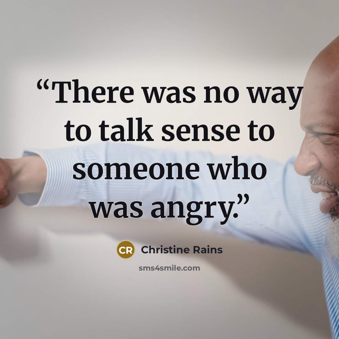 “There was no way to talk sense to someone who was angry.” quote by Christine Rains