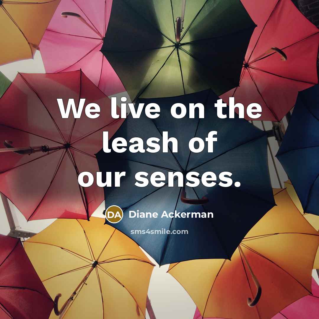 “We live on the leash of our senses.” quote by Diane Ackerman