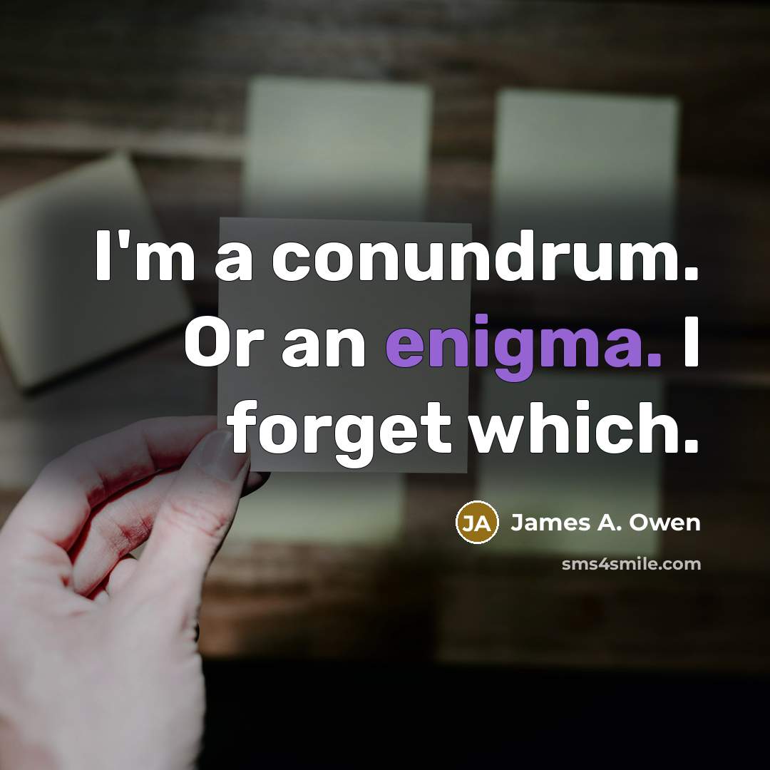 “I'm a conundrum. Or an enigma. I forget which.…” quote by James A. Owen