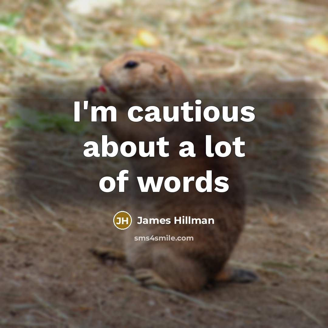 “I'm cautious about a lot of words…” quote by James Hillman