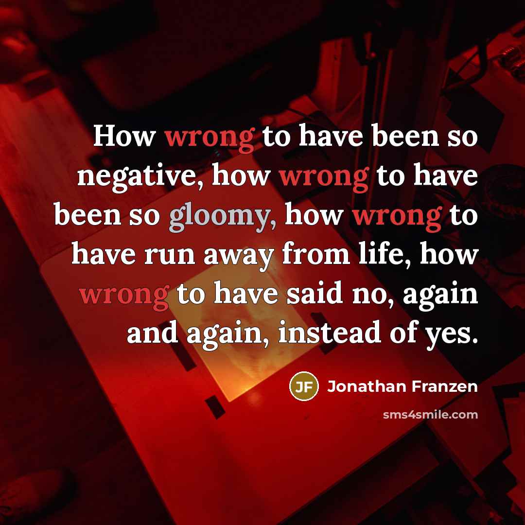 “How wrong to have been so negative, how wrong to…” quote by Jonathan Franzen