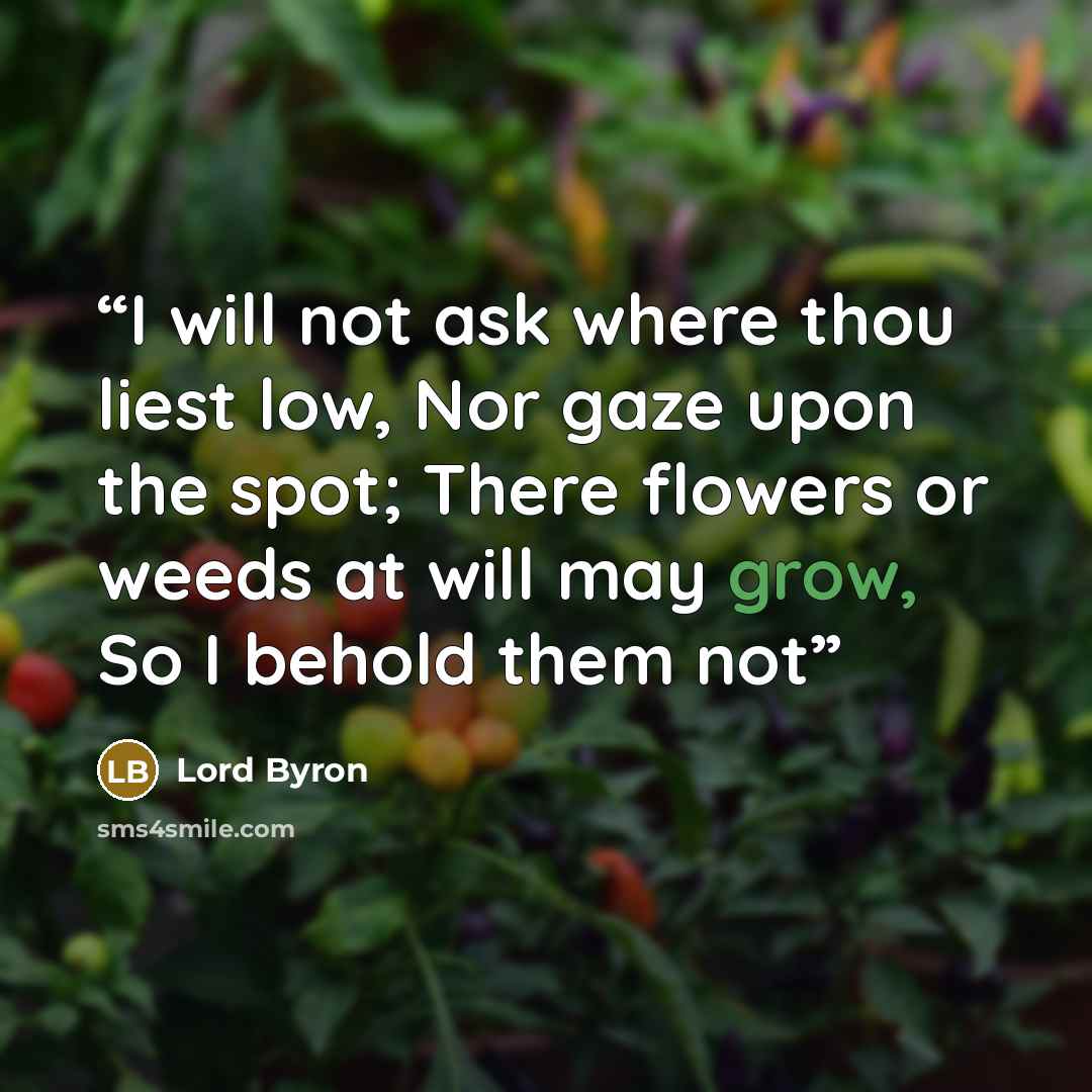“I will not ask where thou liest low, Nor gaze upon the spot; There flowers or weeds at will may grow, So I behold them not” quote by Lord Byron