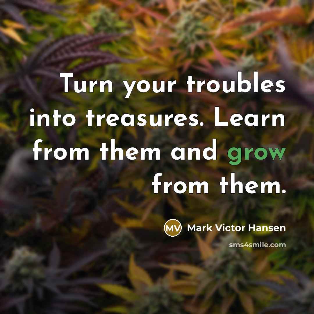 “Turn your troubles into treasures. Learn from them and grow…” quote by Mark Victor Hansen