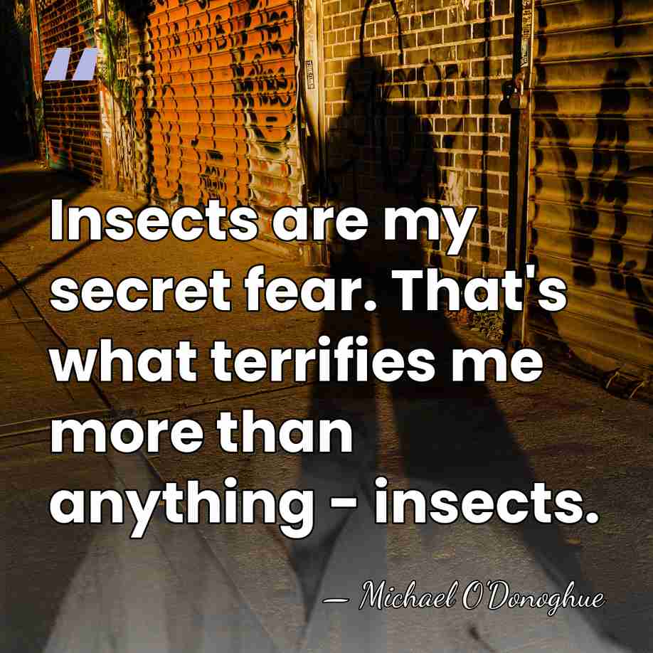Insects are my secret fear. That's what terrifies me more than anything&hellip; - Michael O'Donoghue