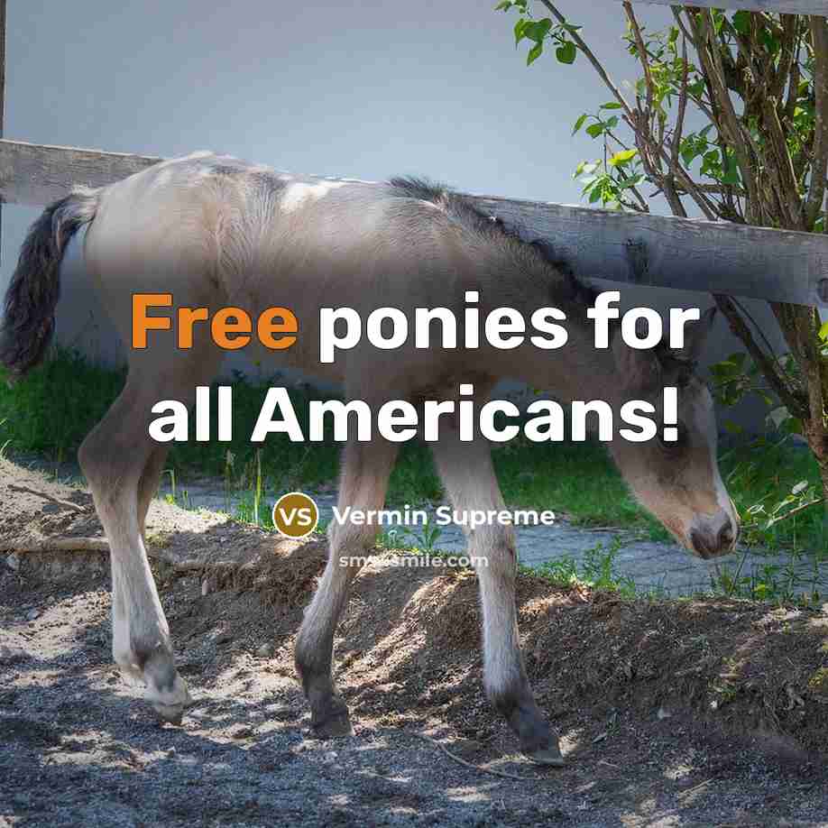 “Free ponies for all Americans!…” quote by Vermin Supreme