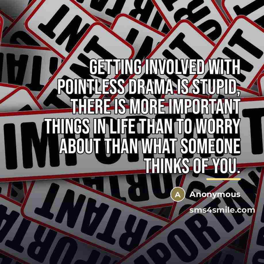 “Getting involved with pointless drama is stupid, there is more…” quote by Anonymous