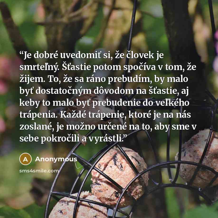 “Je dobré uvedomiť si, že človek je smrteľný. Šťastie potom spočíva v tom, že žijem. To, že sa ráno prebudím, by malo byť dostatočným dôvodom na šťastie, aj keby to malo byť prebudenie do veľkého trápenia. Každé trápenie, ktoré je na nás zoslané, je možno určené na to, aby sme v sebe pokročili a…” quote by Anonymous