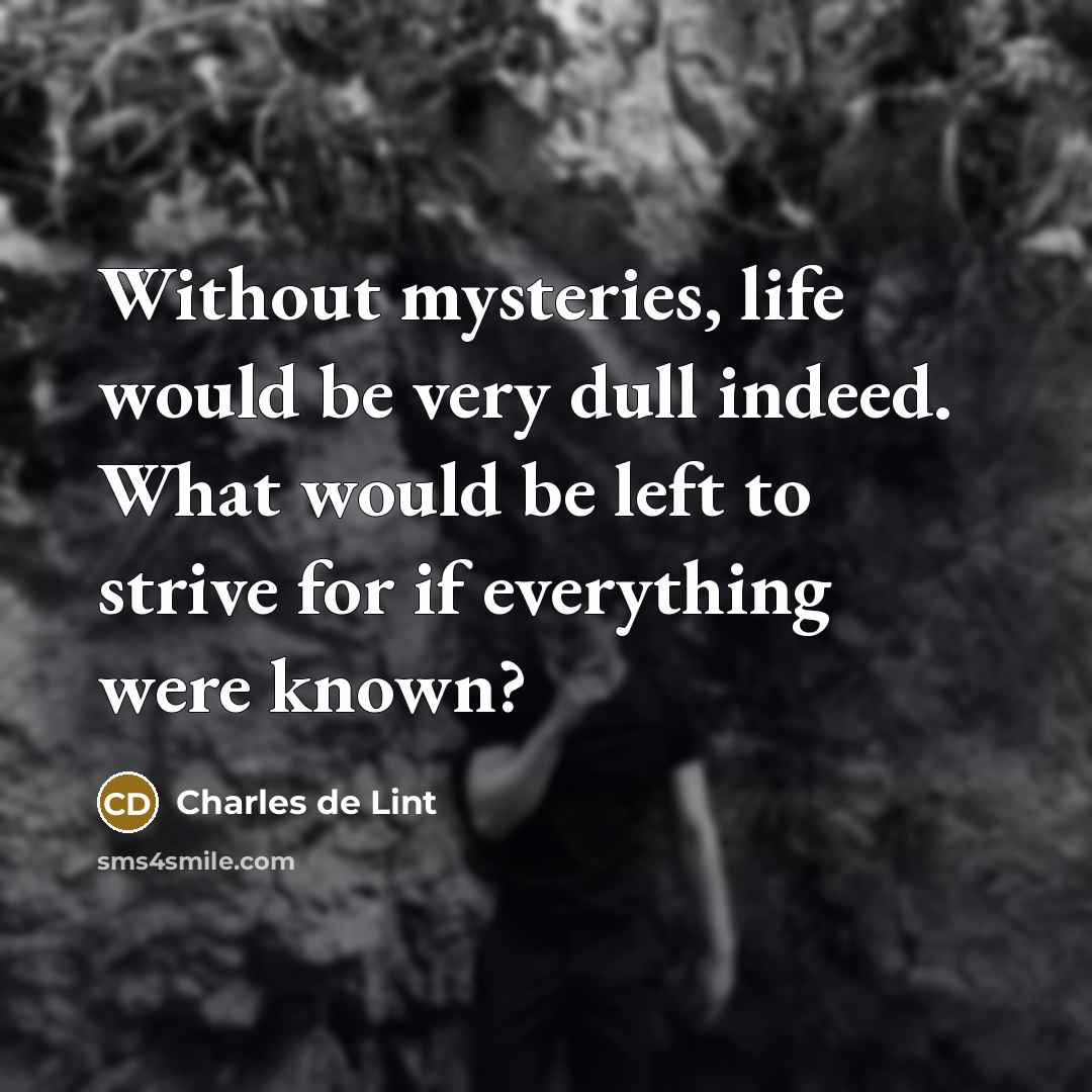 “Without mysteries, life would be very dull indeed. What would…” quote by Charles de Lint