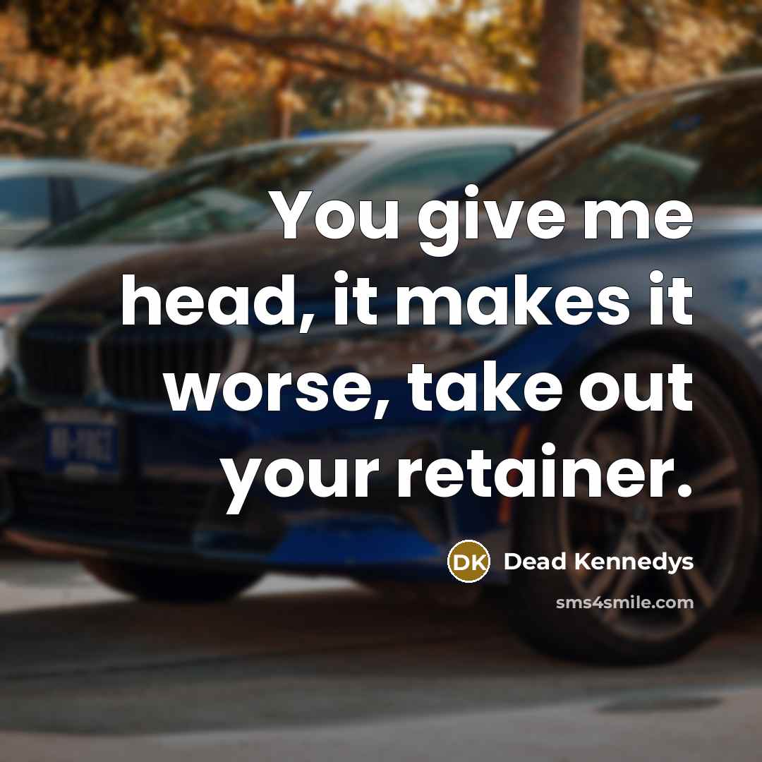 “You give me head, it makes it worse, take out…” quote by Dead Kennedys