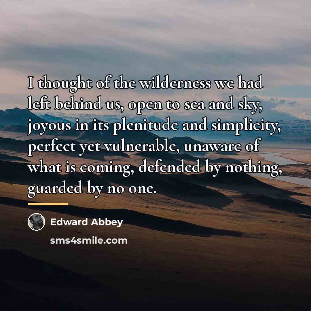 “I thought of the wilderness we had left behind us,…” quote by Edward Abbey