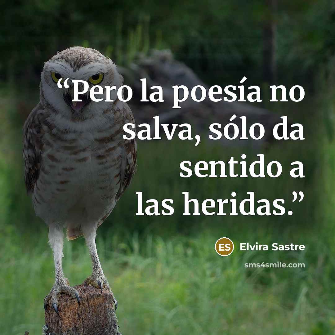 “Pero la poesía no salva, sólo da sentido a las heridas.” quote by Elvira Sastre
