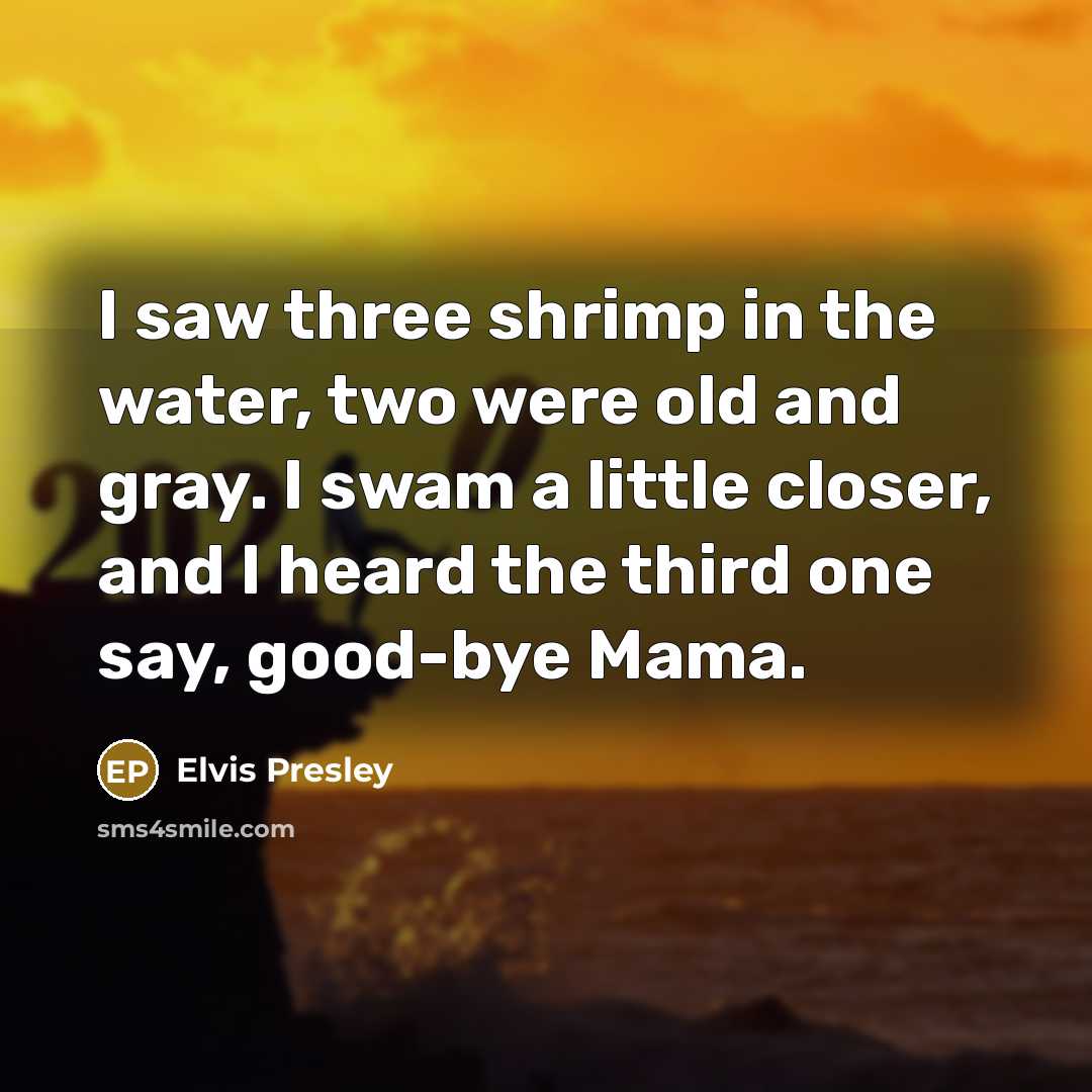 “I saw three shrimp in the water, two were old…” quote by Elvis Presley