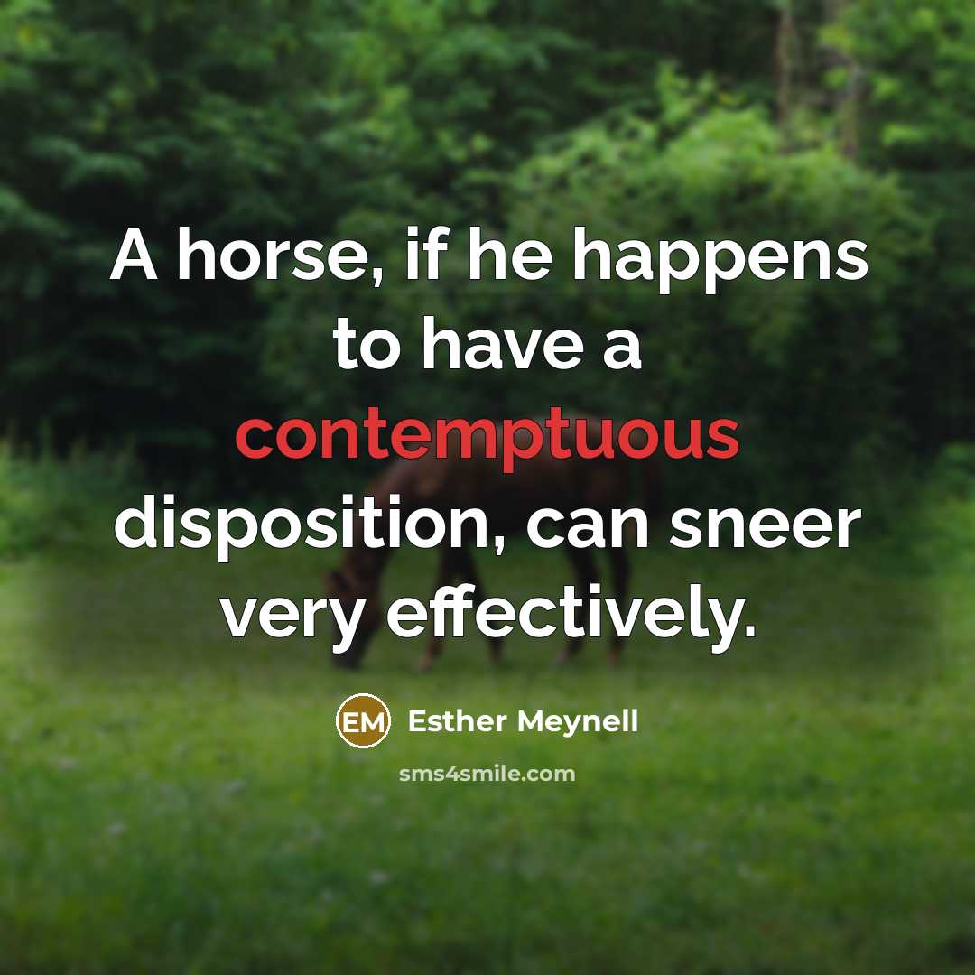 “A horse, if he happens to have a contemptuous disposition,…” quote by Esther Meynell