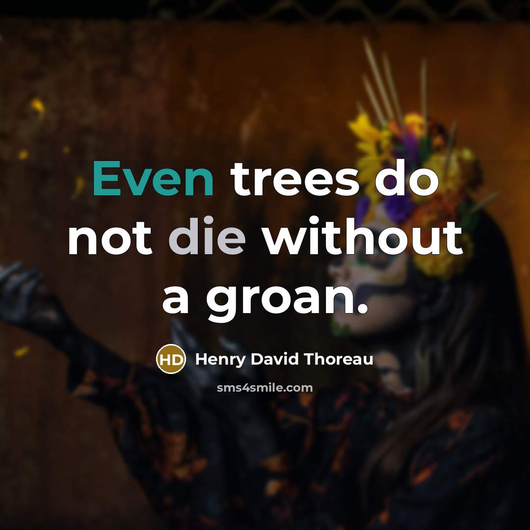 “Even trees do not die without a groan.…” quote by Henry David Thoreau