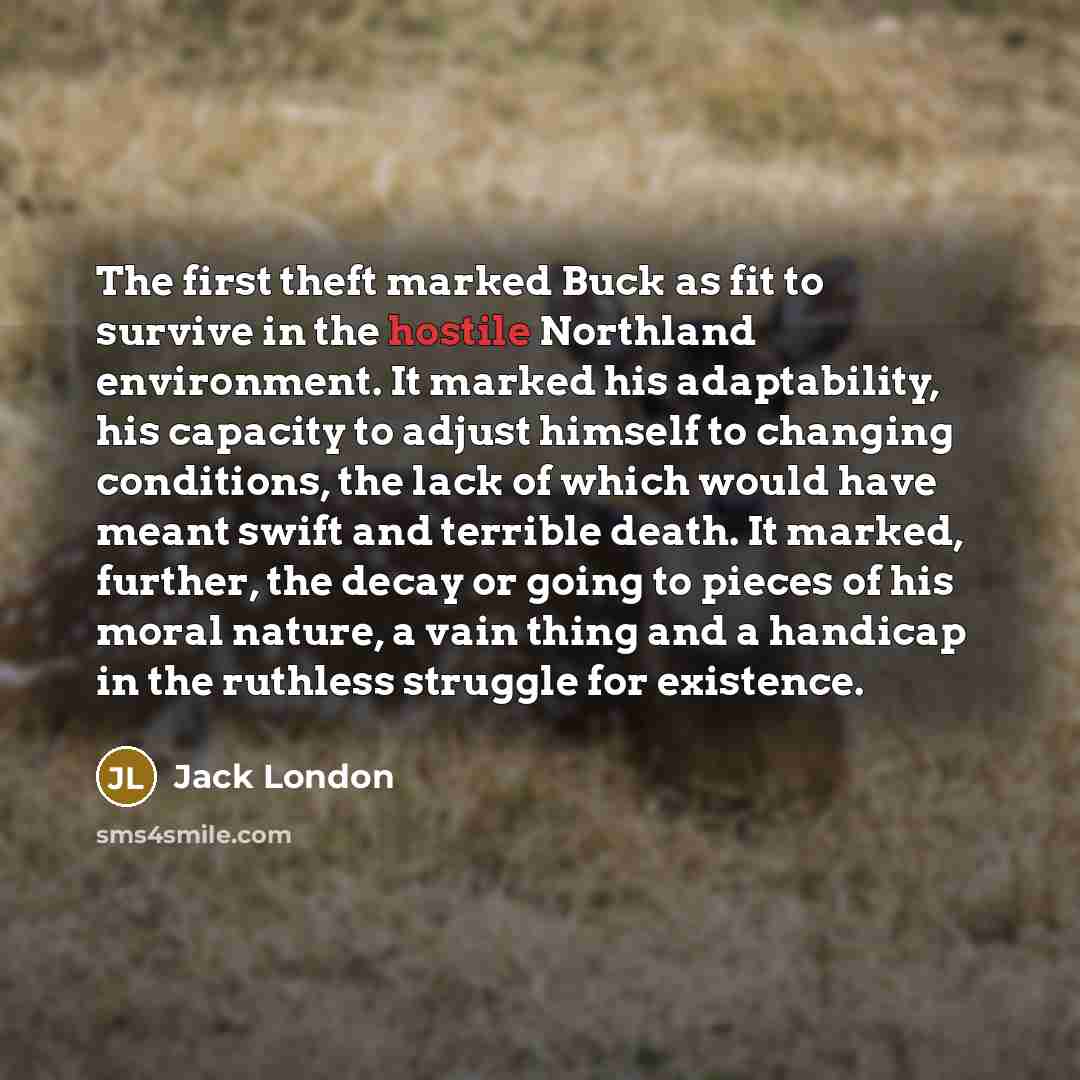 “The first theft marked Buck as fit to survive in…” quote by Jack London