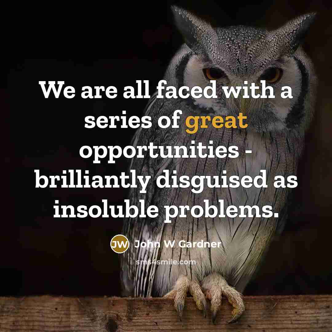 “We are all faced with a series of great opportunities…” quote by John W Gardner