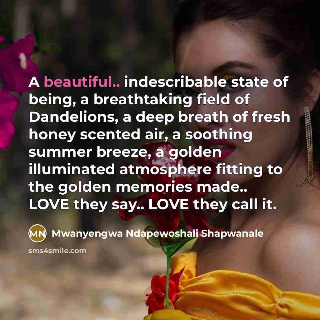 “A beautiful.. indescribable state of being, a breathtaking field of…” quote by Mwanyengwa Ndapewoshali Shapwanale