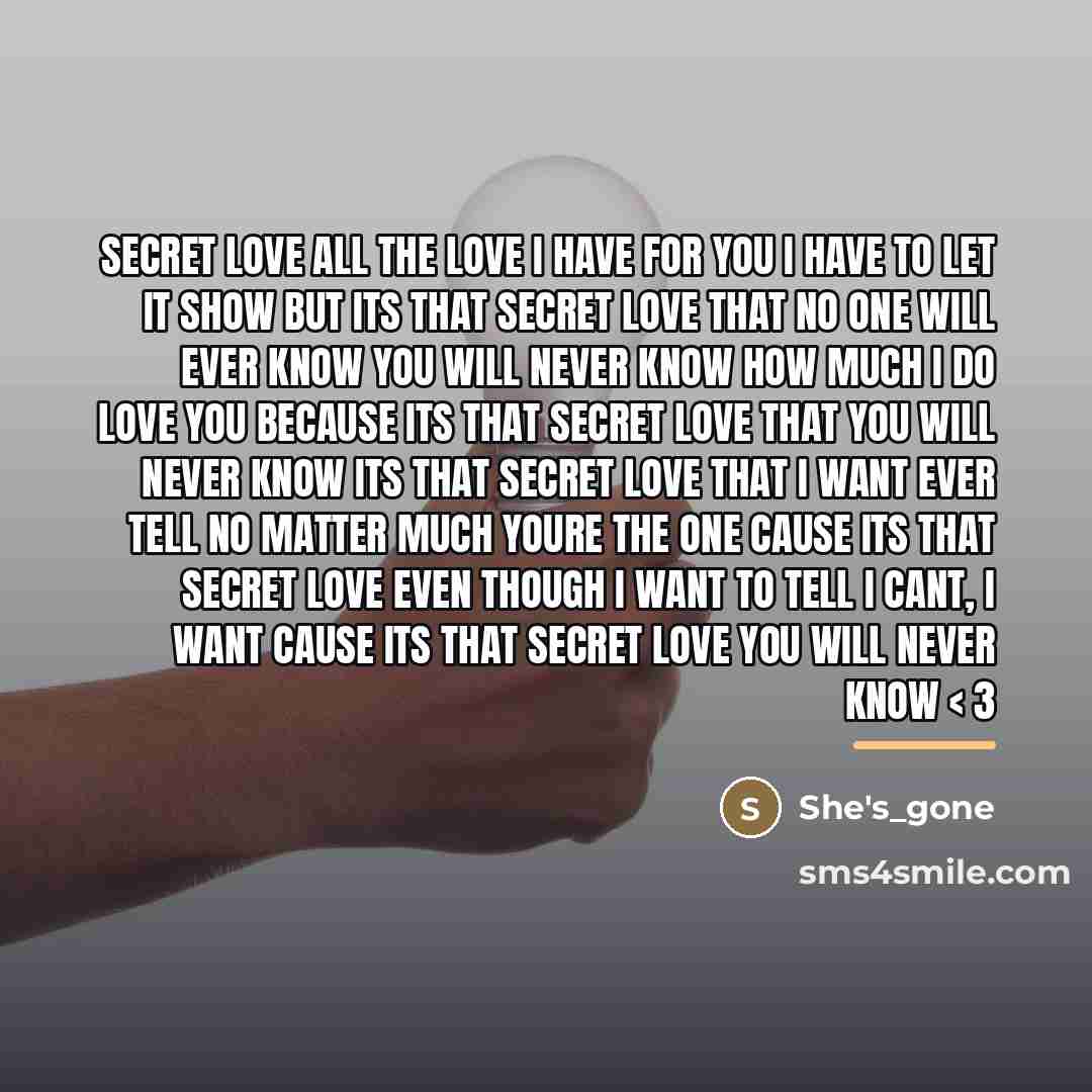 “Secret love All the love I have for you I…” quote by She's_gone