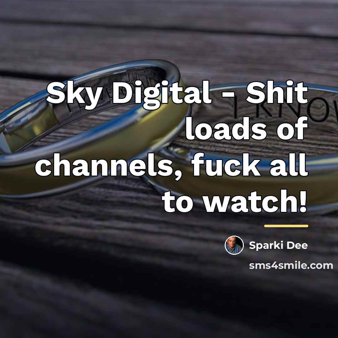 “Sky Digital - Shit loads of channels, fuck all to…” quote by Sparki Dee