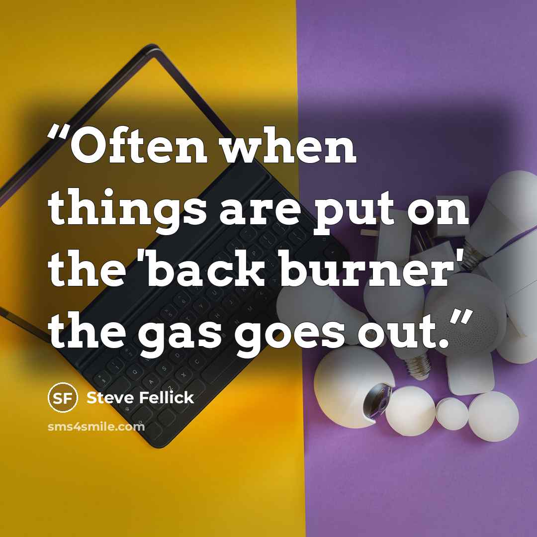 “Often when things are put on the 'back burner' the gas goes out.” quote by Steve Fellick