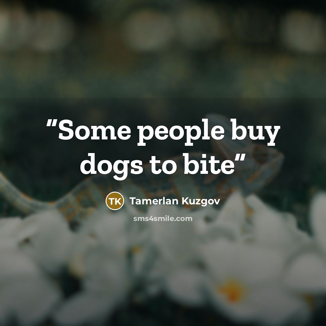 “Some people buy dogs to bite” quote by Tamerlan Kuzgov