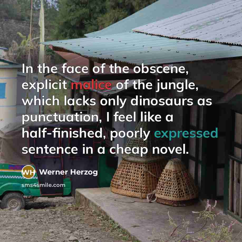 “In the face of the obscene, explicit malice of the…” quote by Werner Herzog