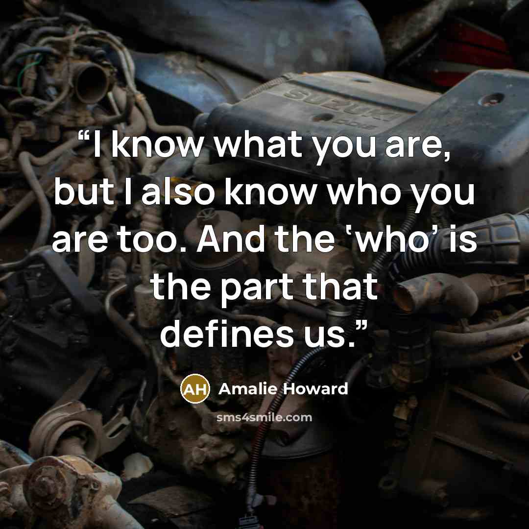 “I know what you are, but I also know who you are too. And the ‘who’ is the part that defines us.” quote by Amalie Howard